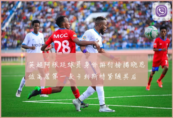 英超阿根廷球员身价排行榜揭晓恩佐高居第一麦卡利斯特紧随其后
